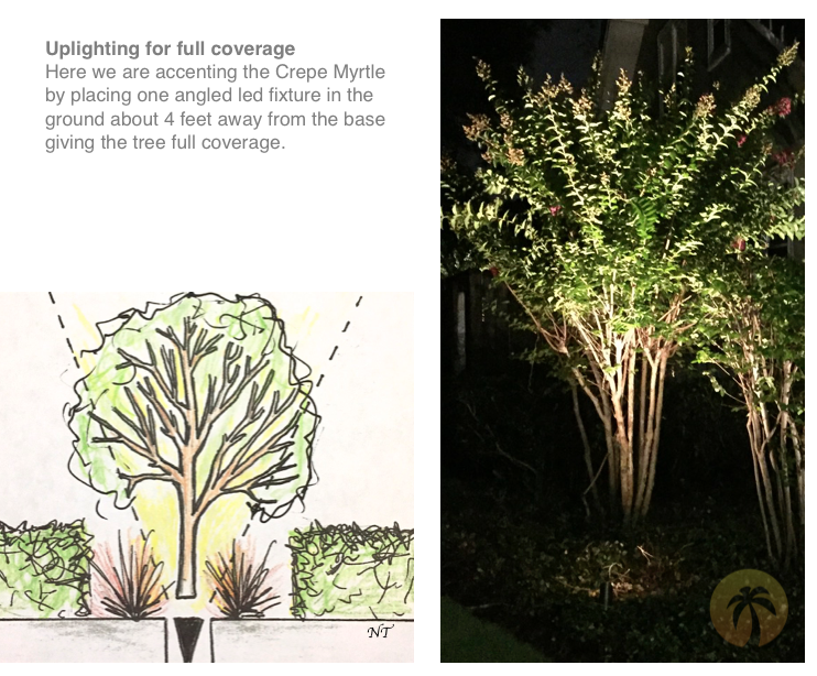 southern-outdoor-lighting-winter-park-install-uplighting