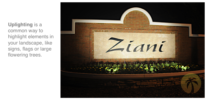 southern-outdoor-lighting-ziani-uplighting